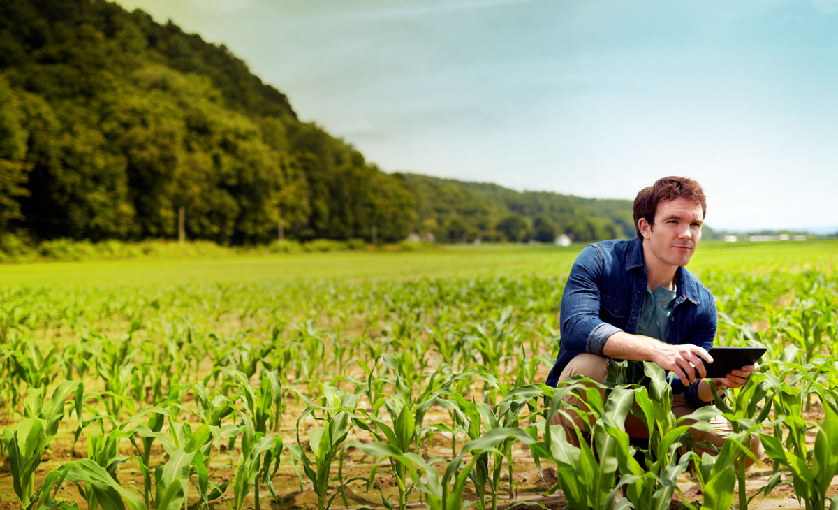 IT Modernization Takes USDA to the Cloud