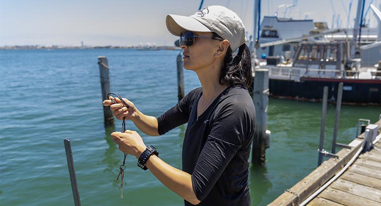feature_marine_mammal_body2 Girl talking off her jacket